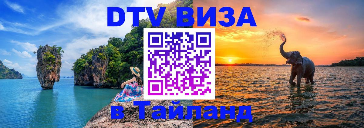 Оформление DTV визы под ключ: стоимость и тарифы, только загранпаспорт - 08.01.2026 